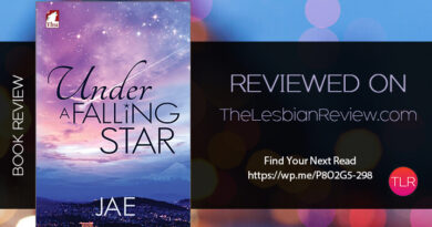 Under A Falling Star by Jae