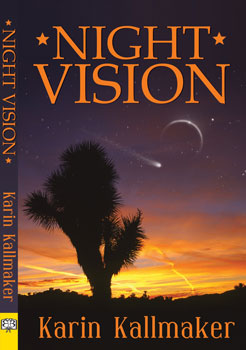 Night Vision by Karin Kallmaker, Lesbian Books