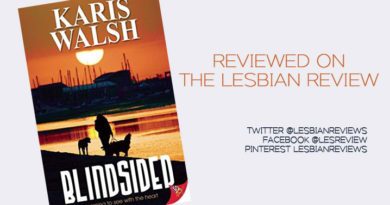 Blindsided by Karis Walsh