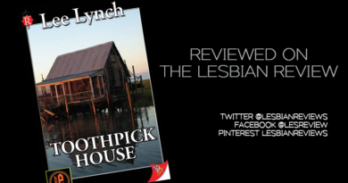 Toothpick House by Lee Lynch