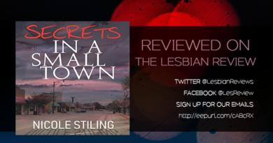 Secrets In A Small Town by Nicole Stiling
