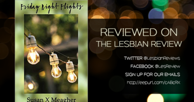 Friday Night Flights by Susan X Meagher