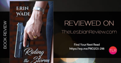 Riding the storm by Erin Wade review