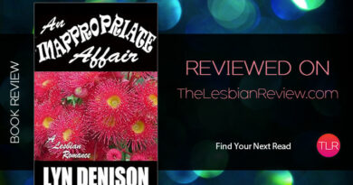 An Inappropriate Affair by Lyn Denison review