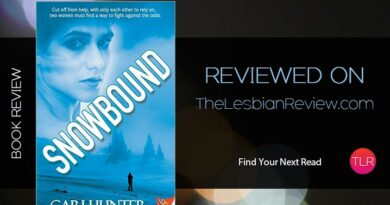 Snowbound by Cari Hunter review