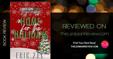 Home for the Holidays by Erin Zak review