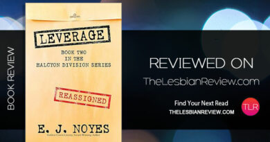 Leverage by E.J Noyes review