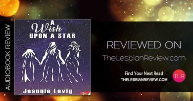 A Wish Upon a Star by Jeannie Levig review