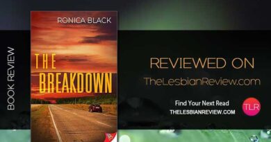 The Breakdown by Ronica Black review